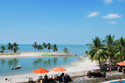 海外市场再添新篇 成功签约马中关丹产业园公辅单元节能环保工程