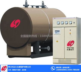 远大太康锅炉厂 2T立式热水锅炉在环保工程中的应用